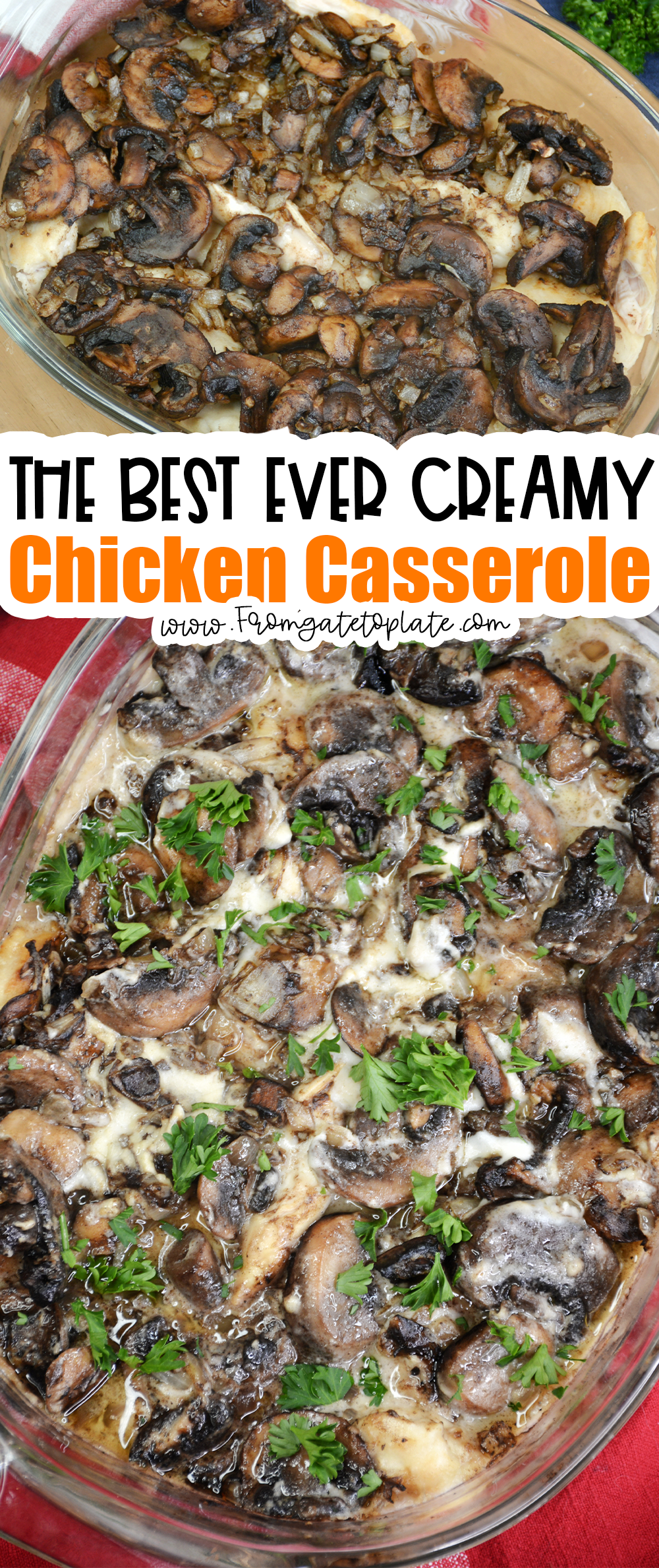 Creamy Chicken Casserole Recipe