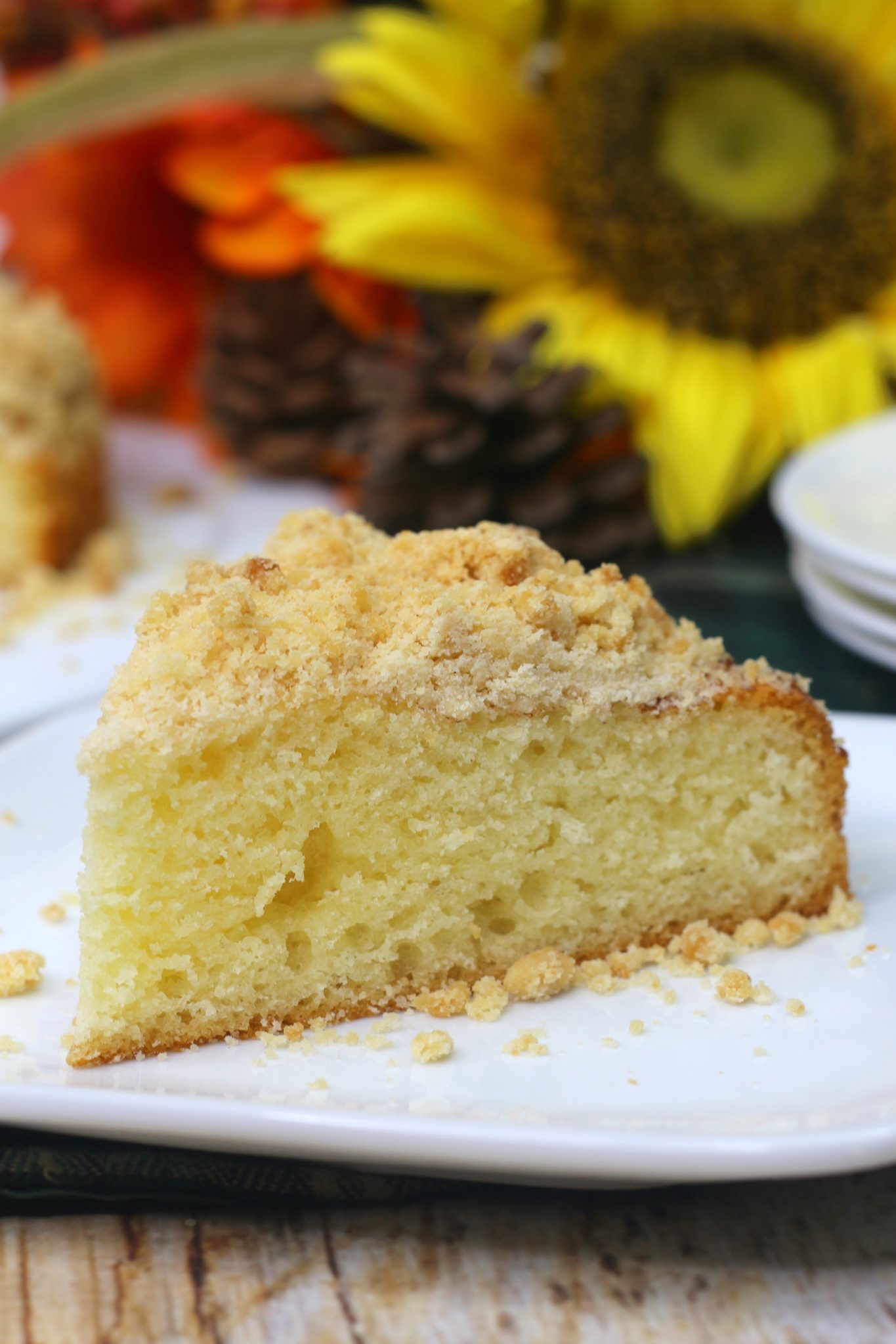 Pumpkin Spice Coffee Cake - From Gate To Plate