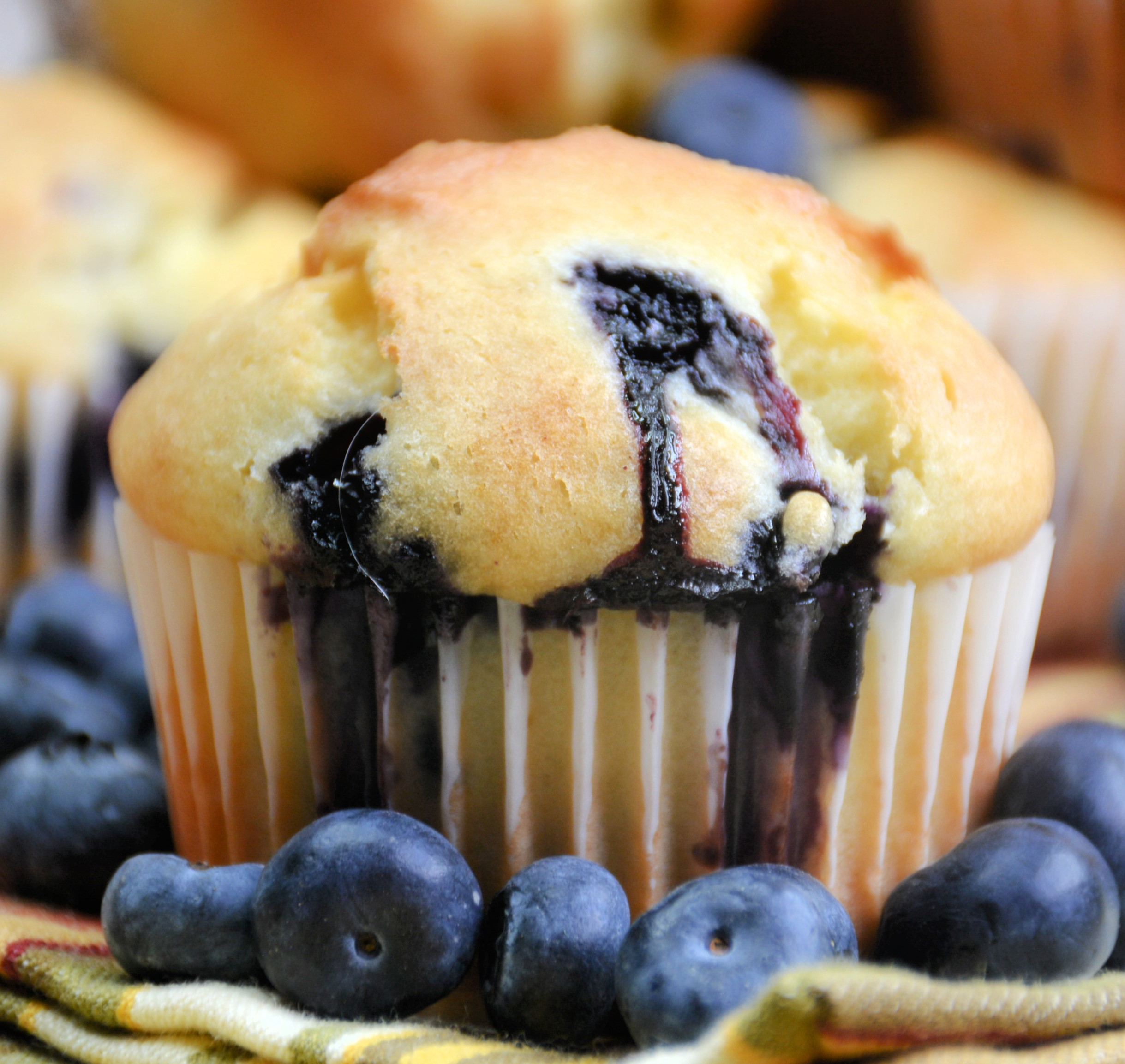 Blueberry Muffins