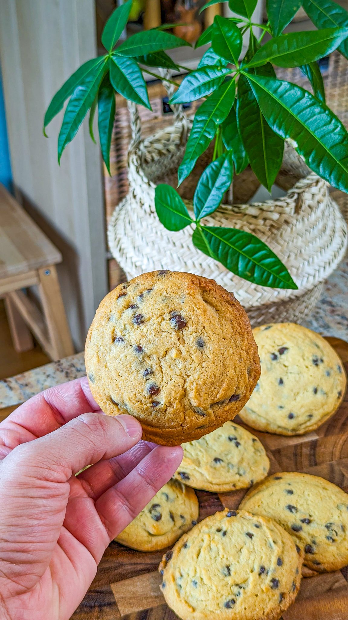 Chocolate Chip Cookies - From Gate To Plate